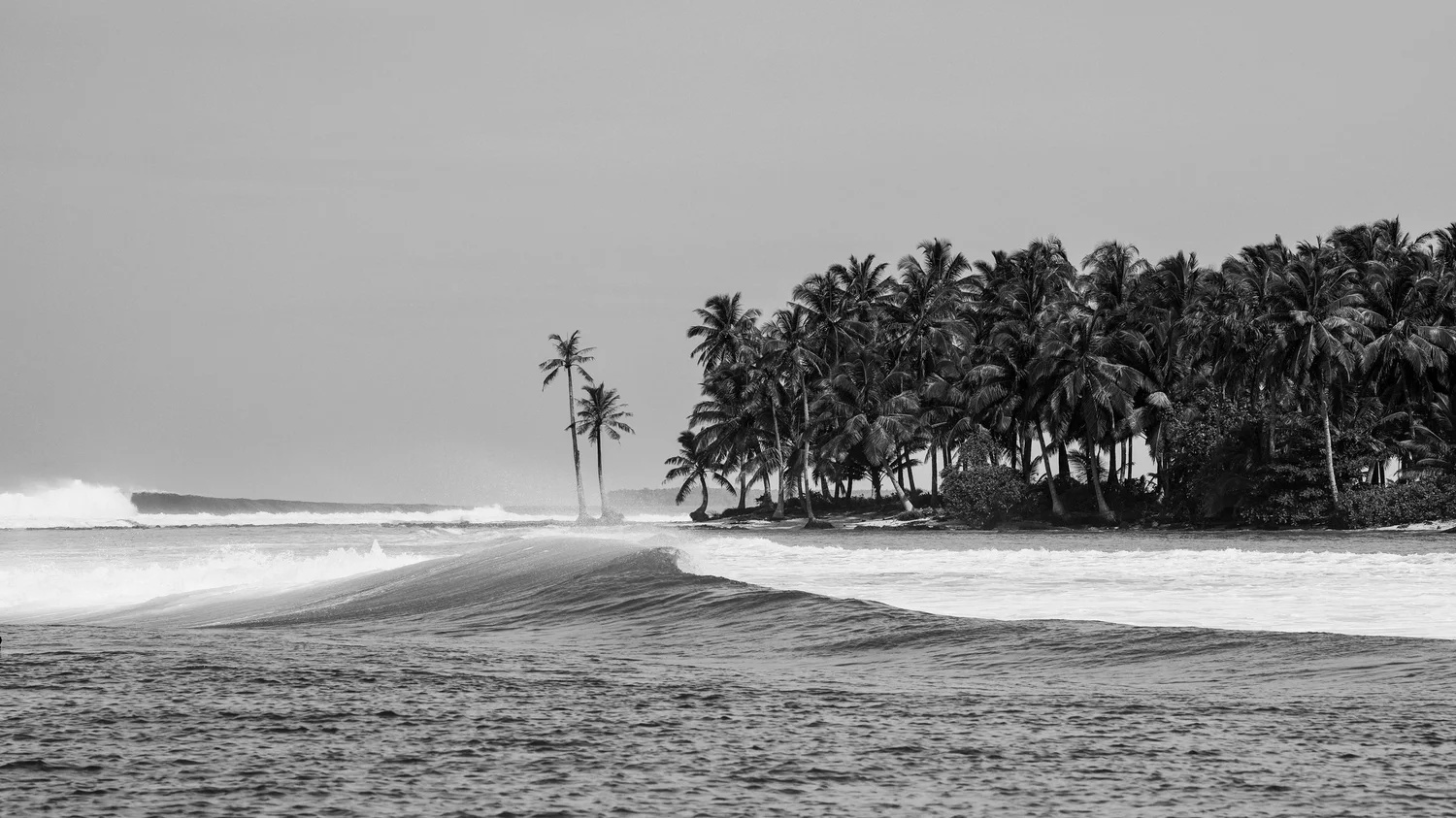 Indo Black And White